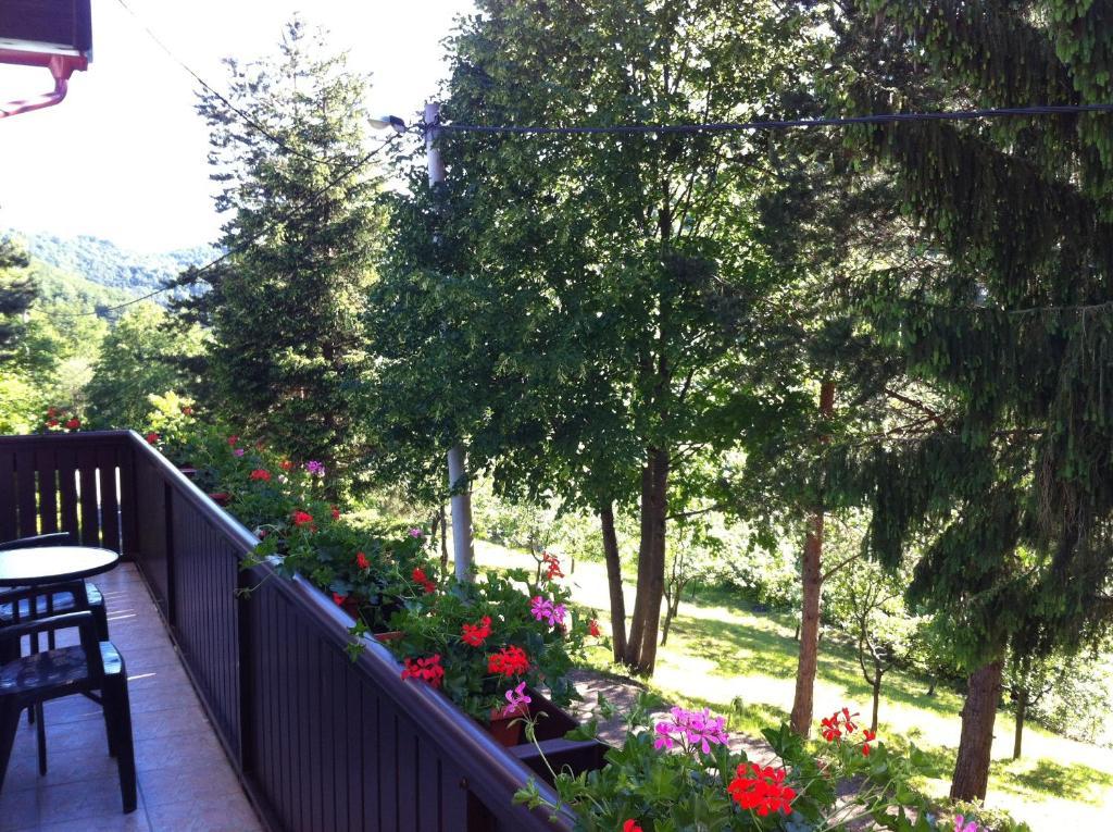 Apartments Renata Smoljanac Bilik gambar
